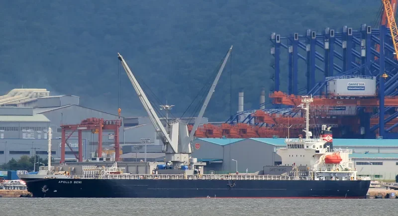 APOLLO BENI General Cargo IMO 9354193 photo 9