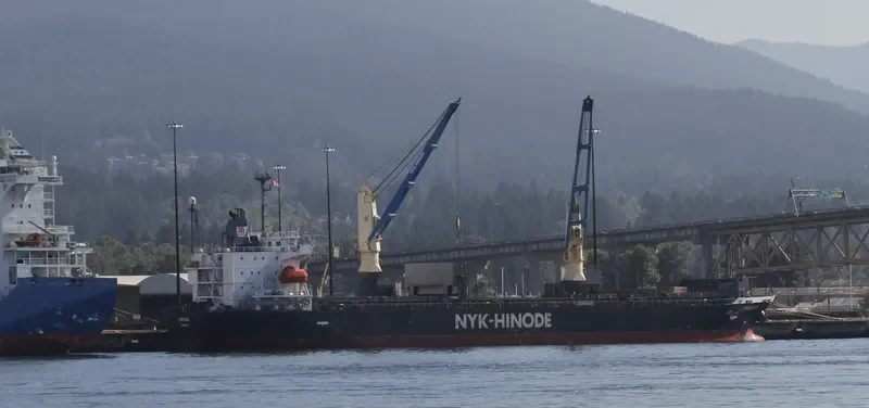 MIKAWA General Cargo IMO 9354208 photo 6