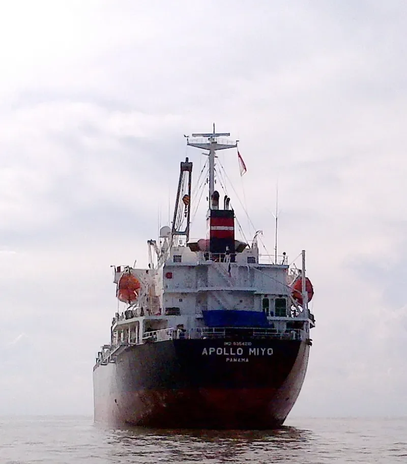 ORIENTAL SOURCES General Cargo IMO 9354210 photo 3