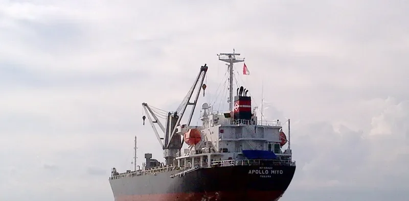 ORIENTAL SOURCES General Cargo IMO 9354210 photo 4