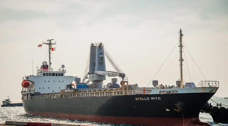 ORIENTAL SOURCES General Cargo IMO 9354210 photo 7