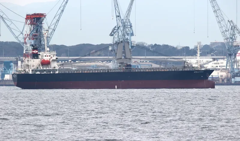 ORIENTAL SOURCES General Cargo IMO 9354210 photo 9