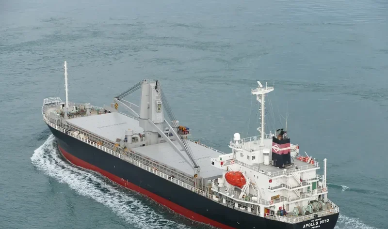ORIENTAL SOURCES General Cargo IMO 9354210 photo 10