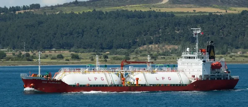GAS FLAWLESS General Cargo IMO 9354222 photo 4