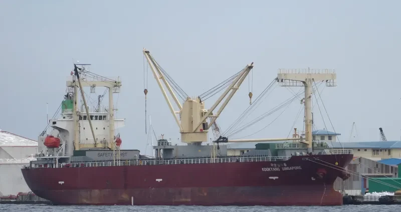 KOOKYANG SINGAPORE General Cargo IMO 9354234 photo 2