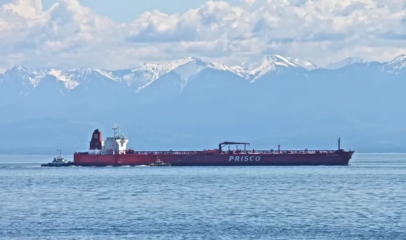 ZALIV AMERIKA Tanker IMO 9354301 photo 8