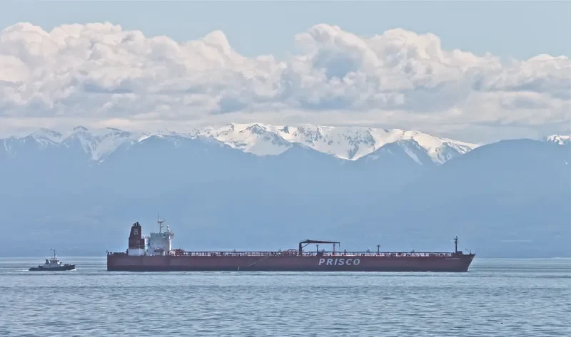 ZALIV AMERIKA Tanker IMO 9354301 photo 9