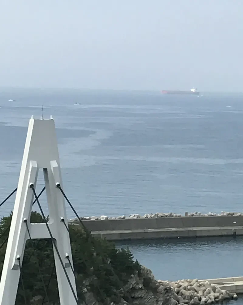 ZALIV AMURSKIY Tanker IMO 9354313