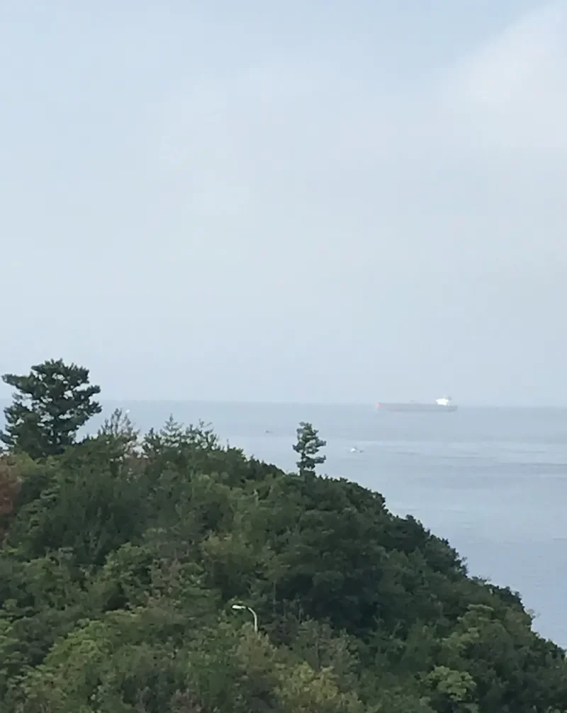 ZALIV AMURSKIY Tanker IMO 9354313 photo 2