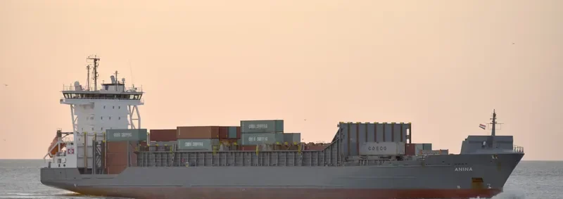 ANINA Container Ship IMO 9354351 photo 6