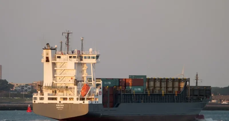 ANINA Container Ship IMO 9354351 photo 7