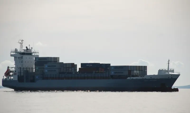 DAGMAR Container Ship IMO 9354399 photo 2