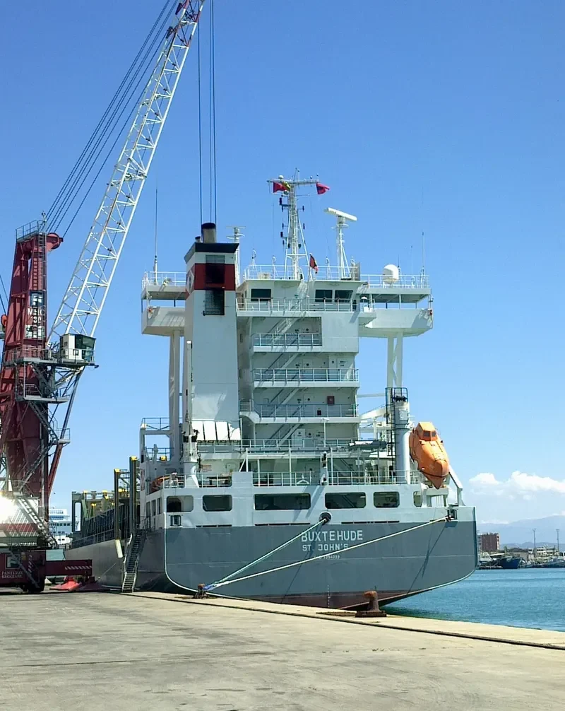 DAGMAR Container Ship IMO 9354399 photo 3