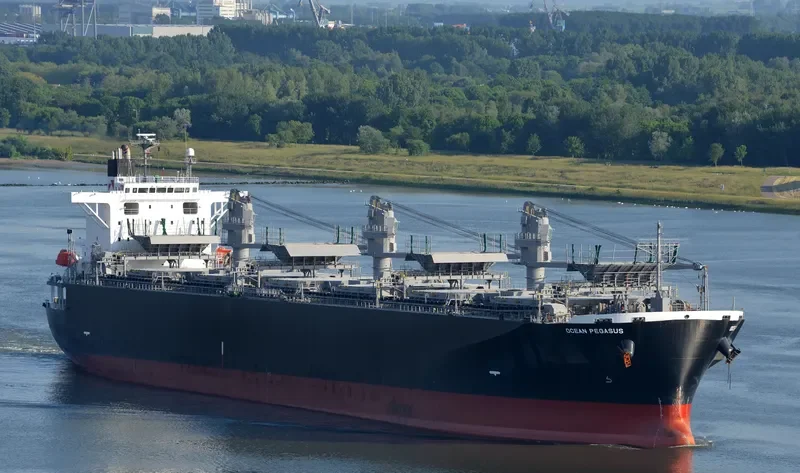 OCEAN PEGASUS Bulk Carrier IMO 9354507