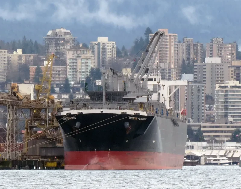 OCEAN PEGASUS Bulk Carrier IMO 9354507 photo 2