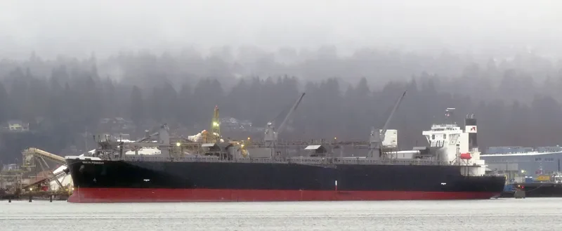 OCEAN PEGASUS Bulk Carrier IMO 9354507 photo 3