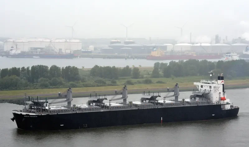 OCEAN PEGASUS Bulk Carrier IMO 9354507 photo 5