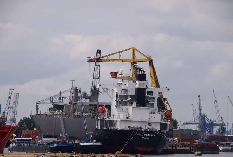 OCEAN PEGASUS Bulk Carrier IMO 9354507 photo 8