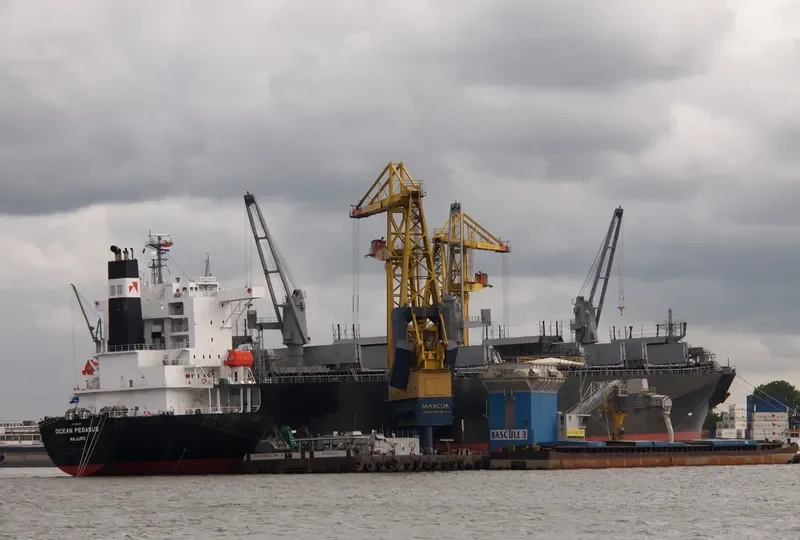 OCEAN PEGASUS Bulk Carrier IMO 9354507 photo 9