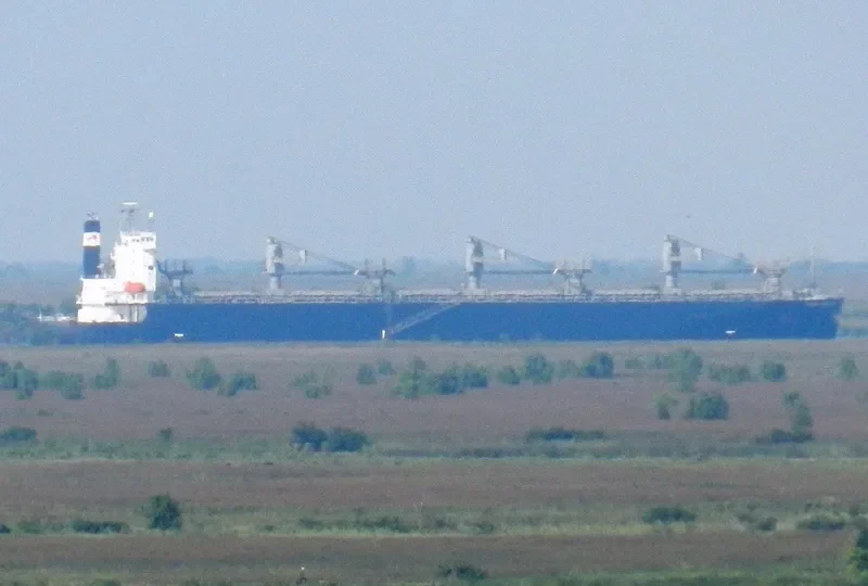 OCEAN PEGASUS Bulk Carrier IMO 9354507 photo 10
