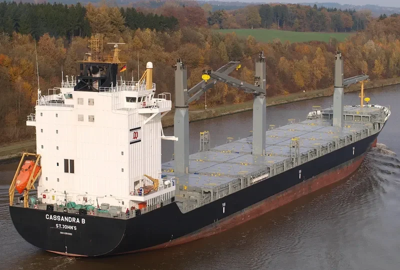 A.IDEFIX Container Ship IMO 9354662 photo 3