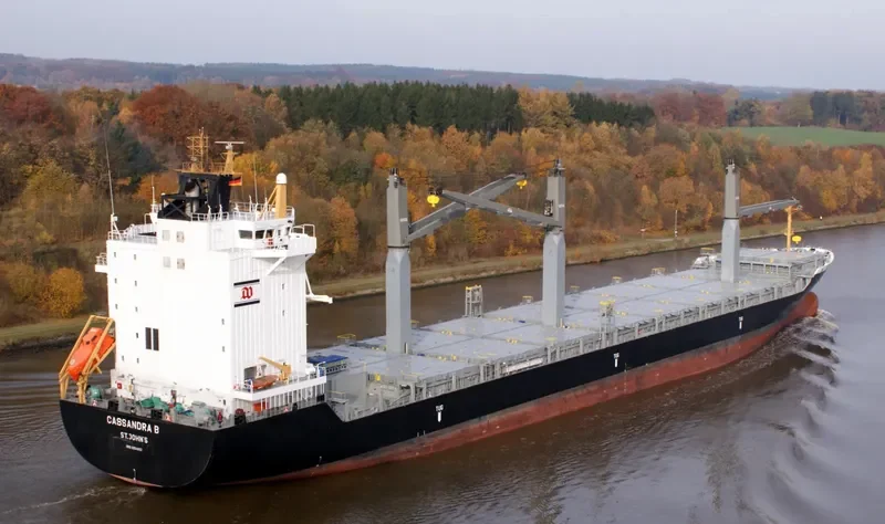 A.IDEFIX Container Ship IMO 9354662 photo 8
