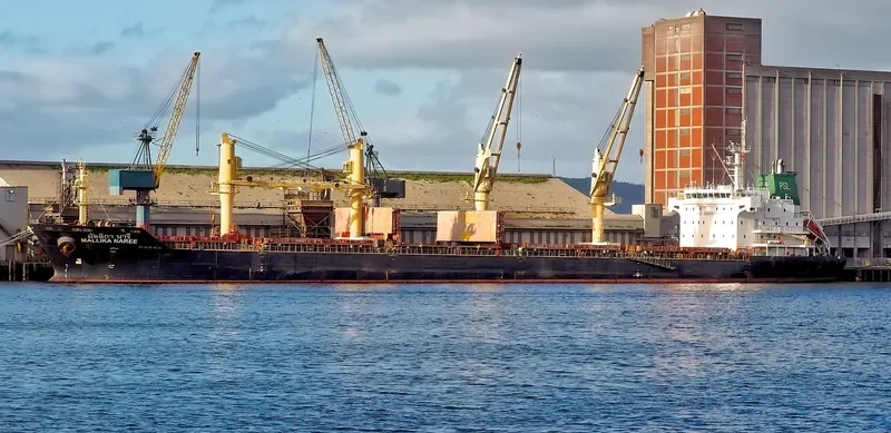MALLIKA NAREE Bulk Carrier IMO 9354739