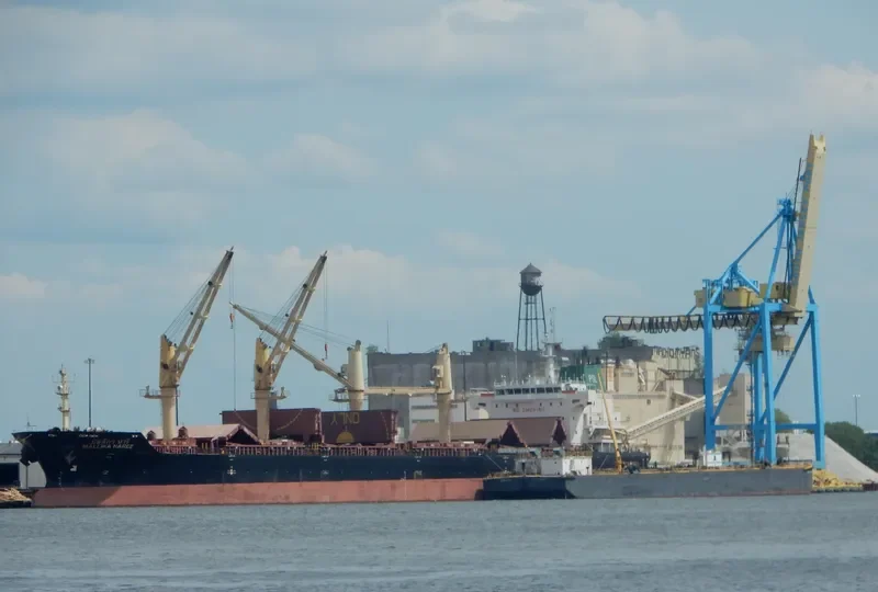 MALLIKA NAREE Bulk Carrier IMO 9354739 photo 4