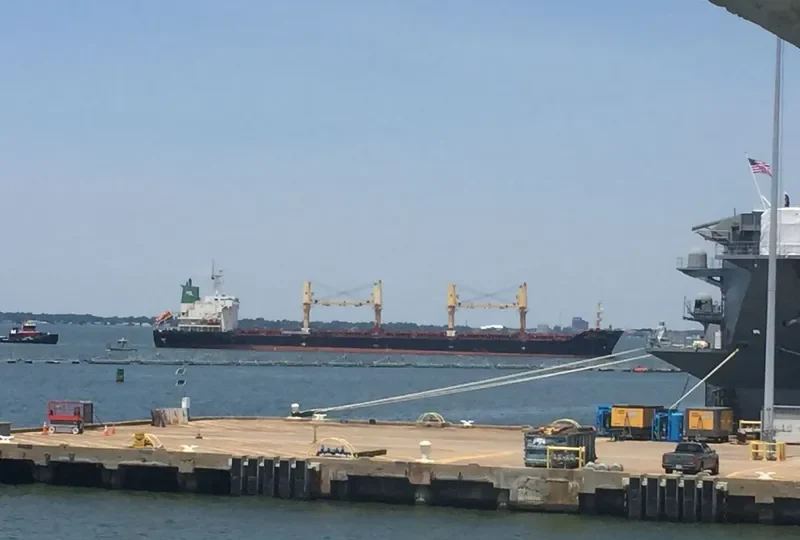 MALLIKA NAREE Bulk Carrier IMO 9354739 photo 5