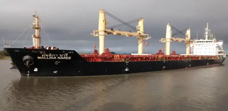 MALLIKA NAREE Bulk Carrier IMO 9354739 photo 7