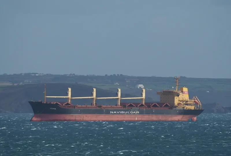HEMUS Bulk Carrier IMO 9354791 photo 2