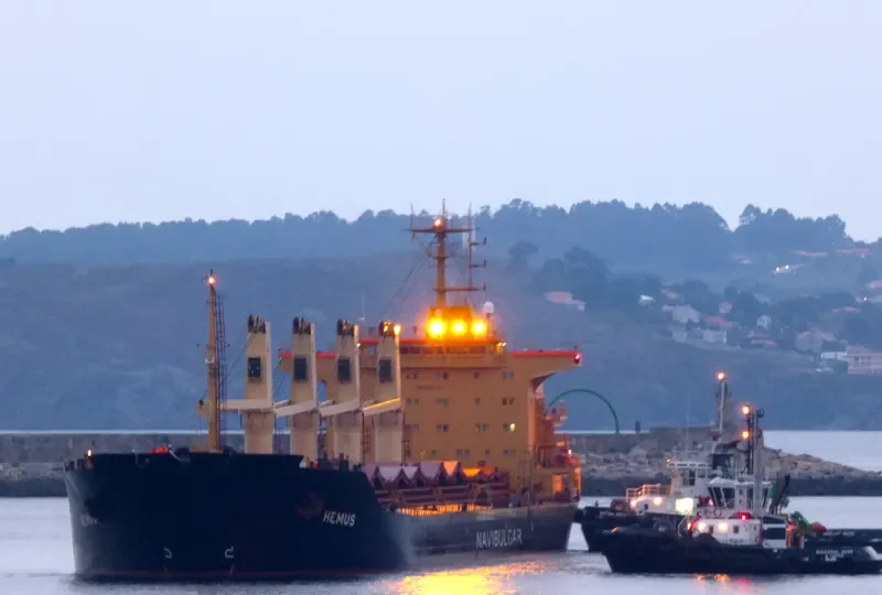 HEMUS Bulk Carrier IMO 9354791 photo 3
