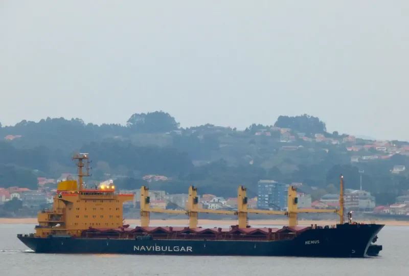 HEMUS Bulk Carrier IMO 9354791 photo 7