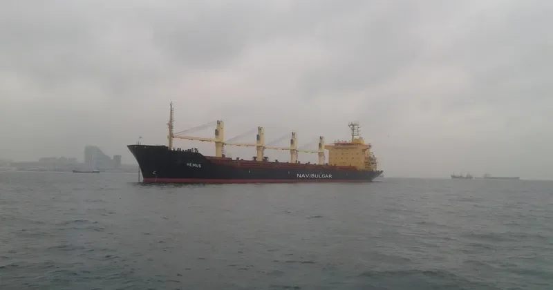 HEMUS Bulk Carrier IMO 9354791 photo 8