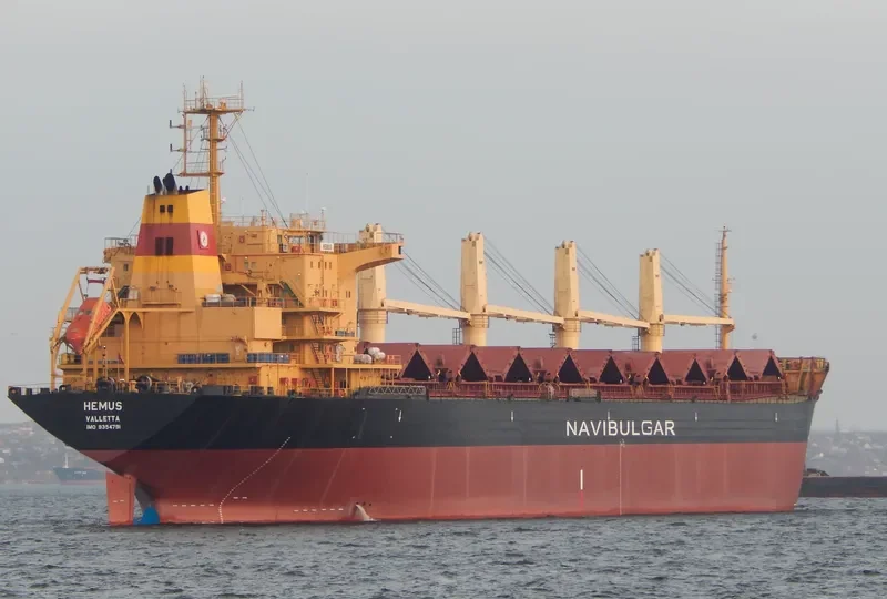 HEMUS Bulk Carrier IMO 9354791 photo 9