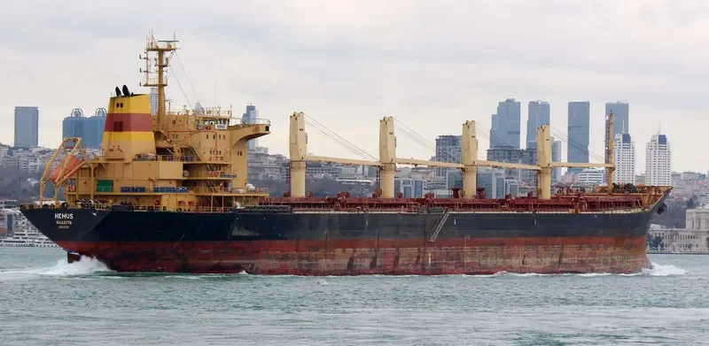 HEMUS Bulk Carrier IMO 9354791 photo 10