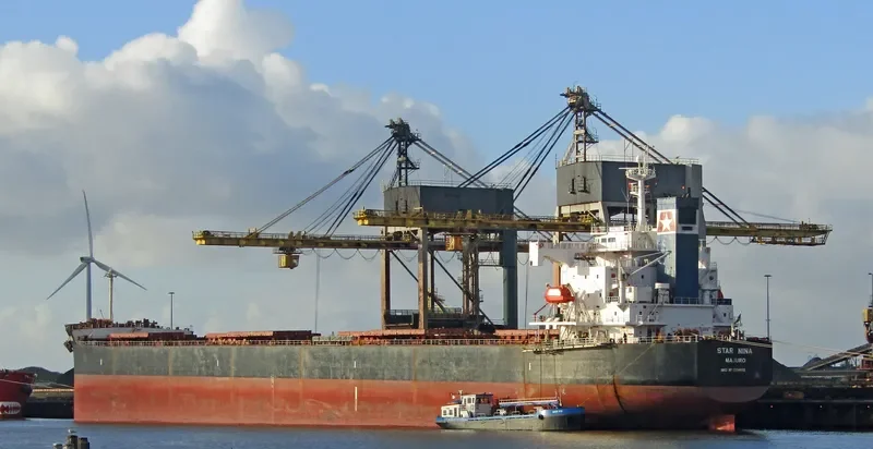 STAR NINA Bulk Carrier IMO 9354832 photo 2