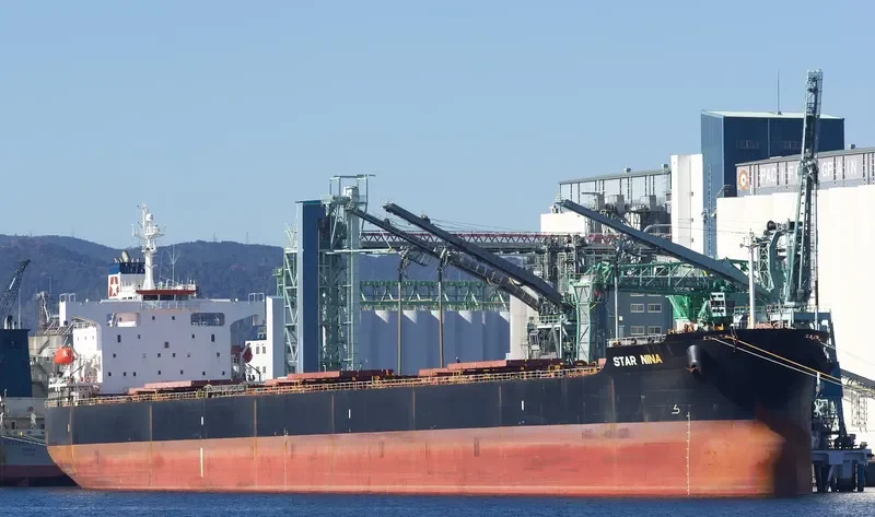 STAR NINA Bulk Carrier IMO 9354832 photo 6