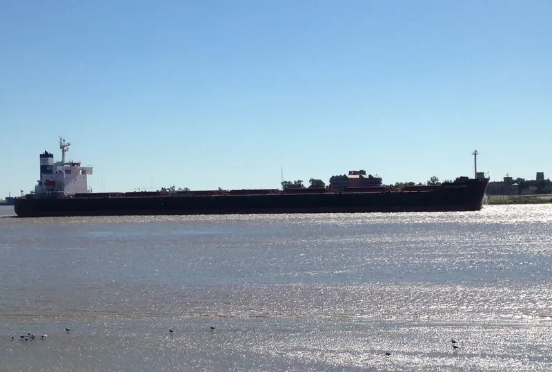 STAR NINA Bulk Carrier IMO 9354832 photo 7