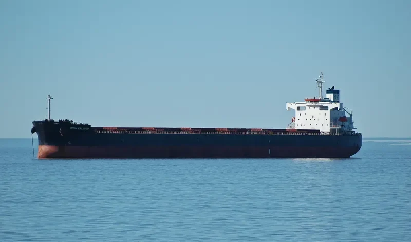 STAR NINA Bulk Carrier IMO 9354832 photo 9