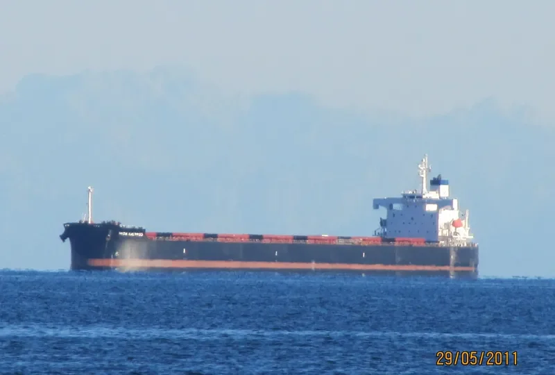 STAR NINA Bulk Carrier IMO 9354832 photo 10