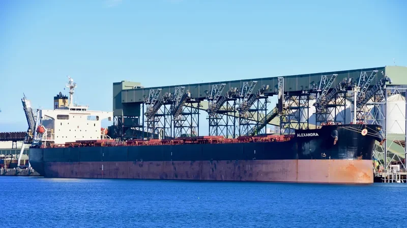 ALEXANDRA Bulk Carrier IMO 9354844 photo 2