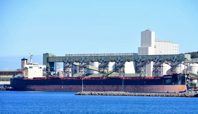 ALEXANDRA Bulk Carrier IMO 9354844 photo 3