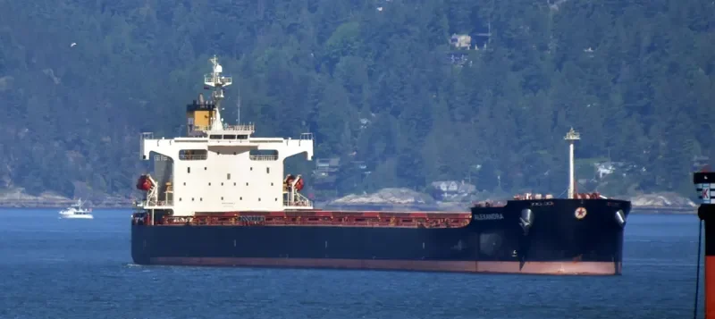 ALEXANDRA Bulk Carrier IMO 9354844 photo 5