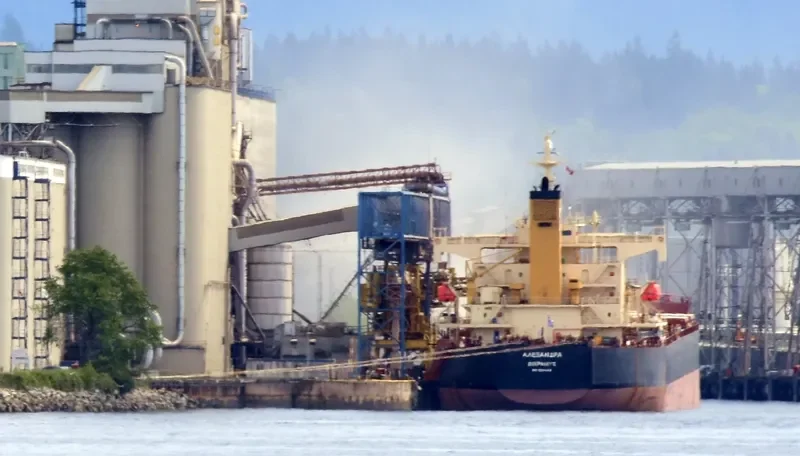 ALEXANDRA Bulk Carrier IMO 9354844 photo 6
