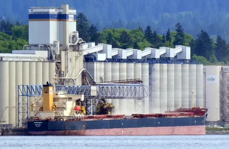 ALEXANDRA Bulk Carrier IMO 9354844 photo 7