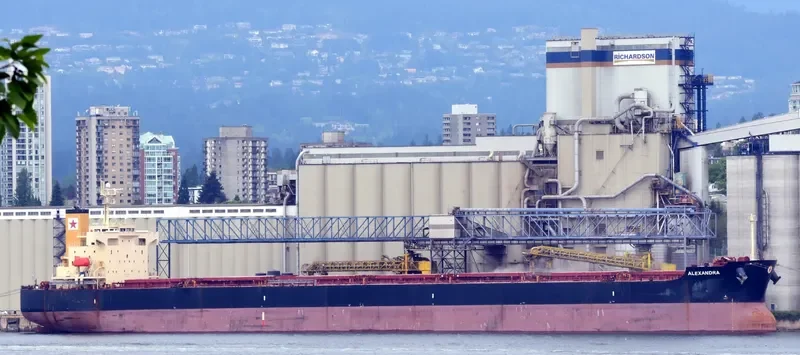 ALEXANDRA Bulk Carrier IMO 9354844 photo 8