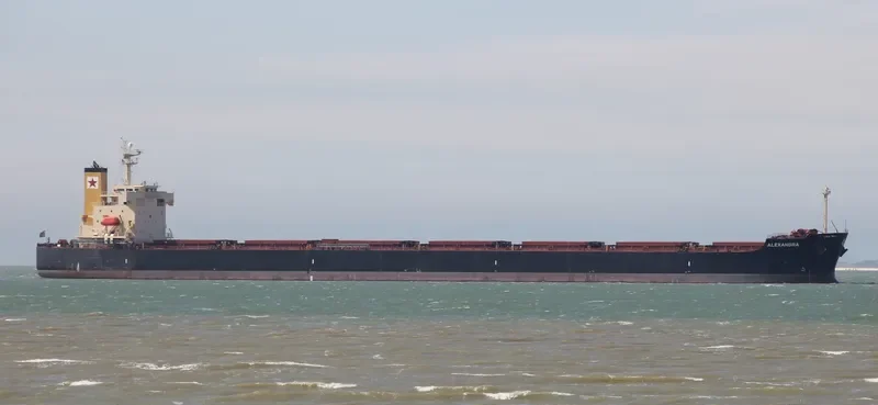 ALEXANDRA Bulk Carrier IMO 9354844 photo 9