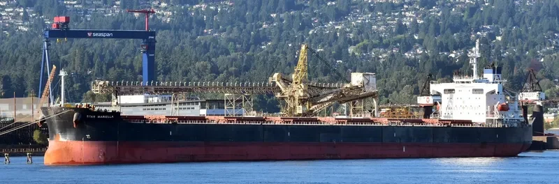 STAR MARIELLA Bulk Carrier IMO 9354868 photo 2