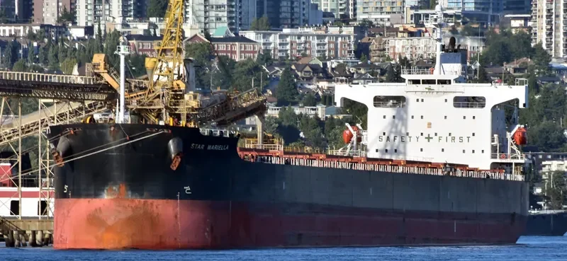 STAR MARIELLA Bulk Carrier IMO 9354868 photo 3